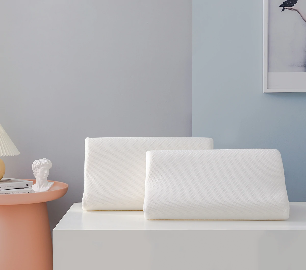 ArchiRise Memory Foam Pillow